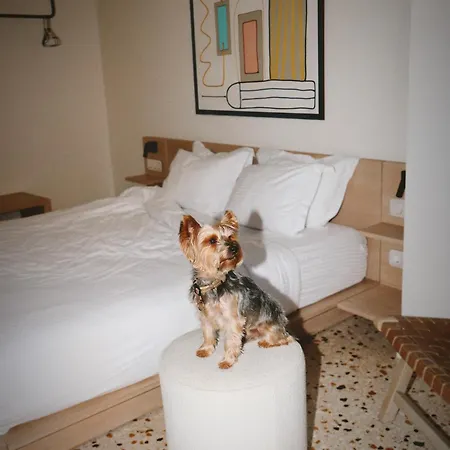 Hotel Vasi 3*